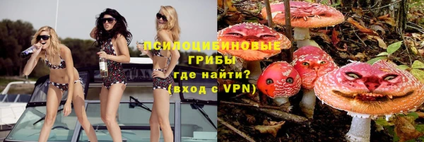 молекула духа Алзамай