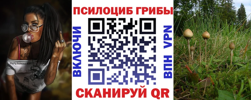 kraken ссылки  Артёмовск  Галлюциногенные грибы Cubensis 